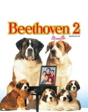Baixar Beethoven 2 Dual Áudio