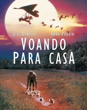Baixar Voando Para Casa Dual Áudio