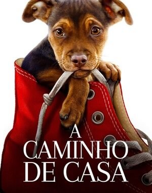 Baixar A Caminho de Casa Dual Áudio