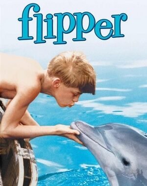 Baixar Flipper: O Menino e o Delfim Dual Áudio