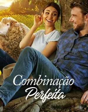 Baixar Combinação Perfeita Dual Áudio
